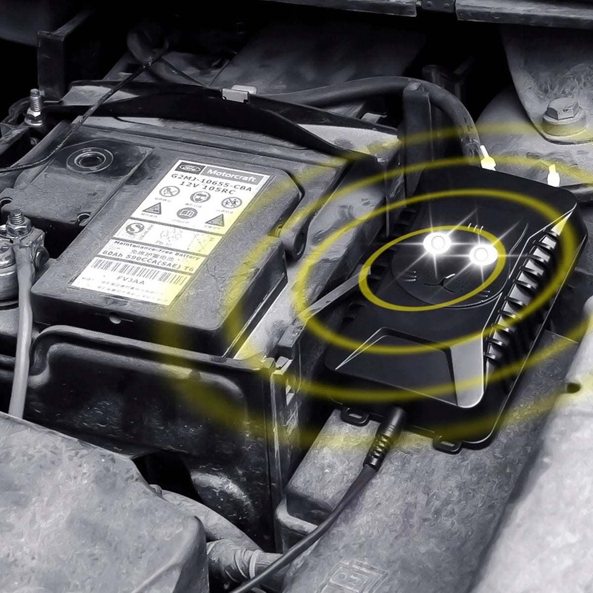 Automobilinis ultragarsinis kiaunių ir graužikų atbaidytuvas, 5–12 V