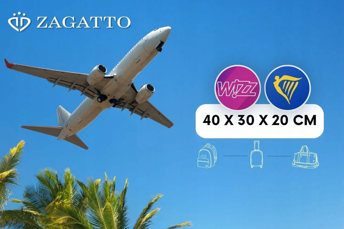 Kuprinė RYANAIR 40x30x20 kelioninis bagažas