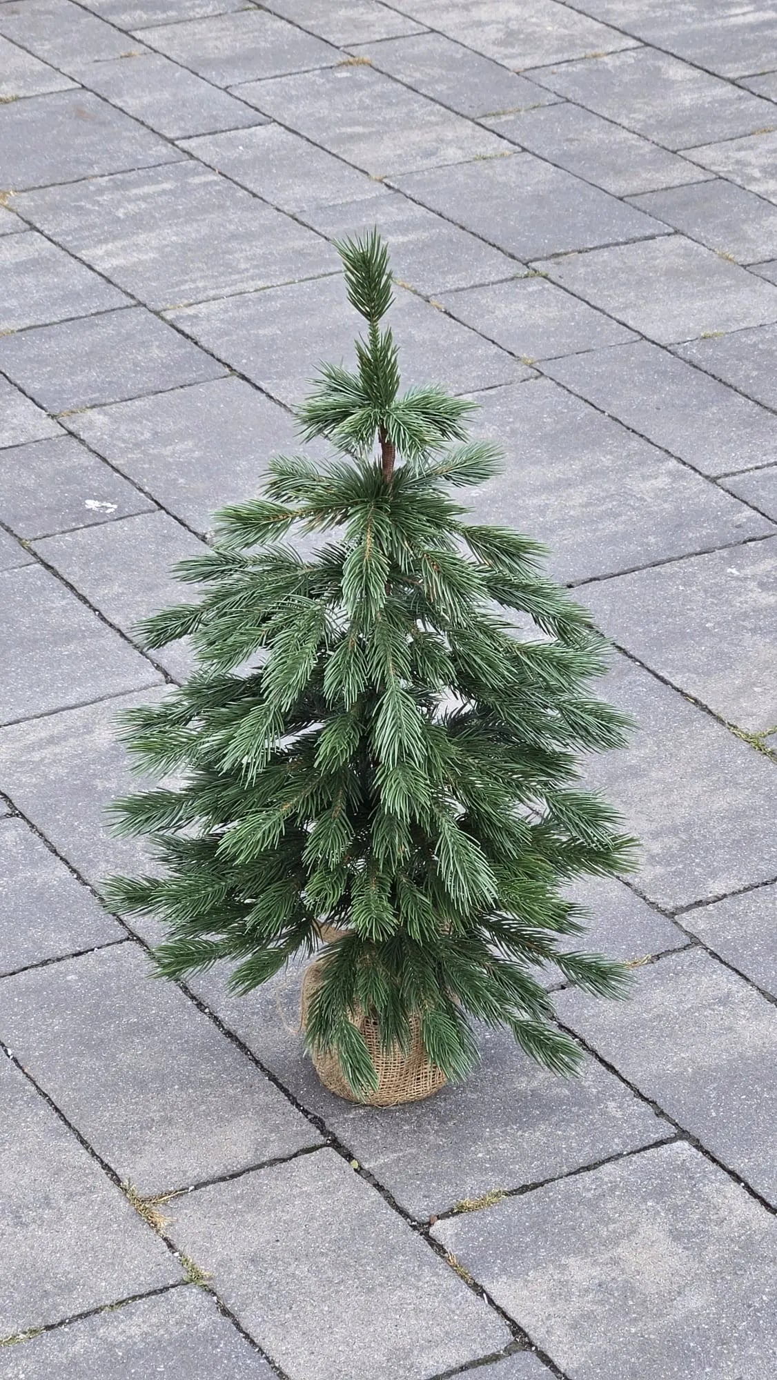 Maža dirbtinė eglutė LIMBA MINI, 60 cm, 100 % PE 3D, vazone su džiuto dekoru