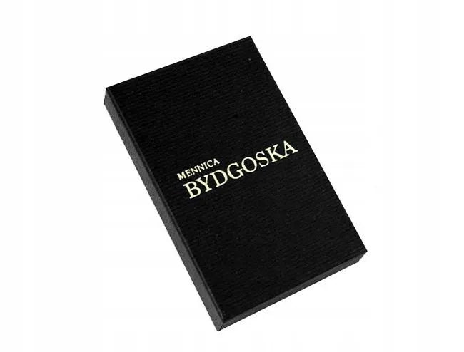 Plati vyriška sidabrinė apyrankė „Pancerka“, 21 cm, 925 prabos sidabras